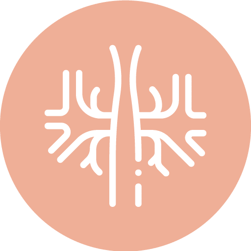 Veins icon